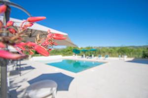 Charmante villa avec grande piscine au calme