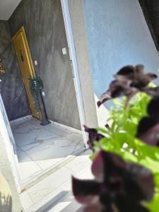 Jacuzzy Rooms Andjela