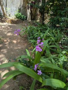Green Villa Kamburugamuwa
