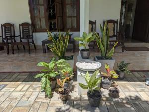 Green Villa Kamburugamuwa