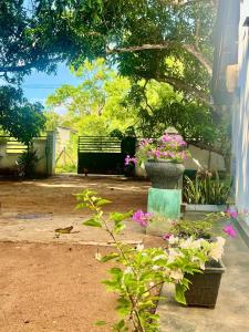 Regnum Villa Anuradhapura