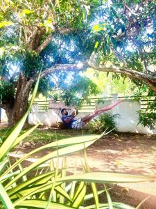 Regnum Villa Anuradhapura