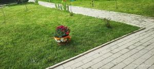 ART House Transylvania , Valea Avrigului , Sibiu