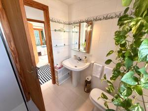 Sa Calma Marina A Tranquil Mediterranean Retreat