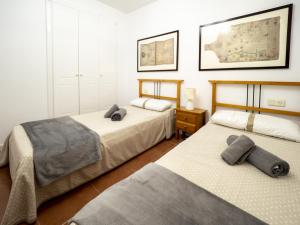 Alcaudon - Playa Isla Canela IAHL59P273