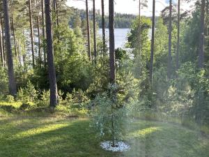 Charming cottage with partial lake view near Hultsfred