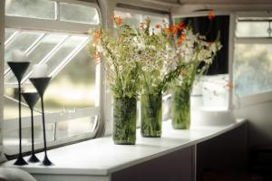 The Brandy Bus, Glamping In a Quiet Paradise