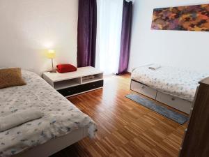 Grand appartement frontière suisse