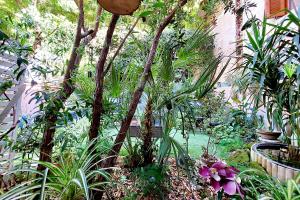 Garden Corner Pigneto apartment Rome