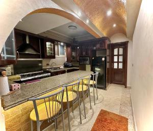 The Paradise Luxury Apartment at TenTon Zamalek