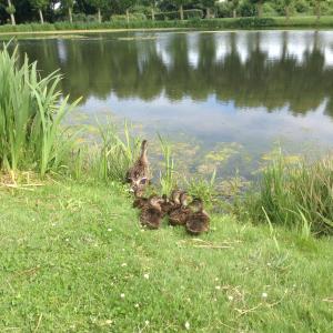 B&B / Chambres d'hotes chambre le nid du phare avec jacuzzi : photos des chambres