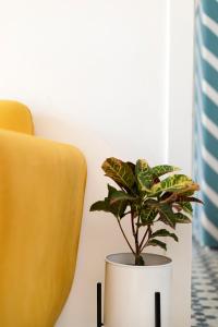 Musafir by Leo Homes - 2BHK Flat in Candolim