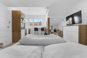 Modern Studio hypercentre 2 minute of palais