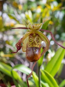 Casa do João e da Teresa