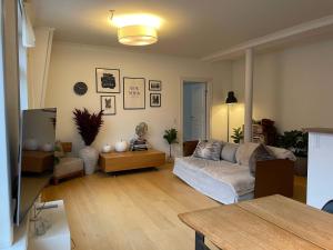 Luxurious CPH flat Prime location