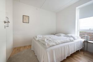 Sky High Amager Views