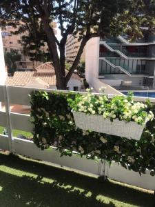 Light and tranquility in the heart of Fuengirola
