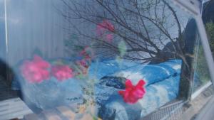 ThongDong homestay- Venuestay