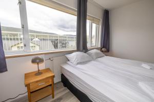 LL Properties - H81 Downtown Apartment With a View