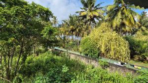 Bandulas Beach House