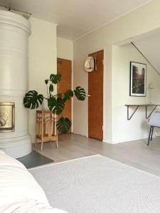 The Villa of the north