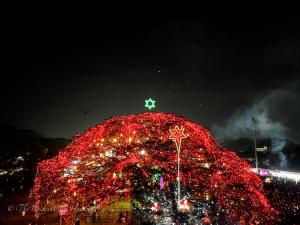 The Bougainvilla Homestay