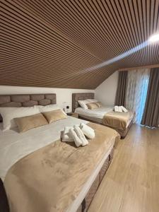 Apartman O Terme Olimia 