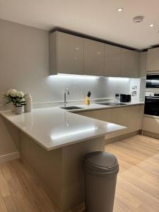 Apartment with Terrace in Uxbridge