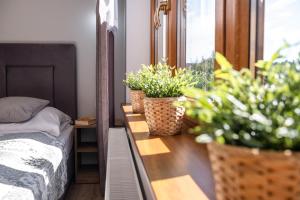 Apartments Pod Jaworami - relaks - jacuzzi, sauna na wyłączność