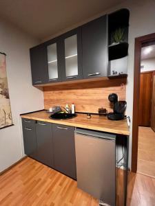 Apartment near the ski lift with a private parking