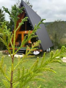 Martvili canyon cottage Love nest