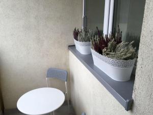 CENTRUM Sikorskiego 123 - EZHome