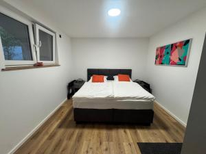 Exclusive basement apartment with terrace