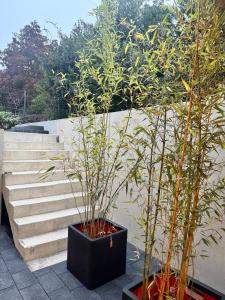 Exclusive basement apartment with terrace