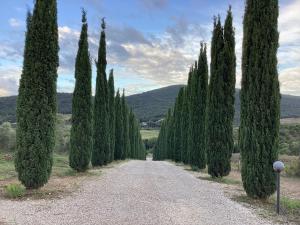 Agriturismo La Svolta