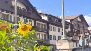 Chalet Stravedo by Ca-Sa Check