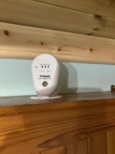 The Rheidol Shepherds Hut