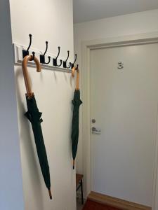 Downtown Historical House with Renovated apartments free P near