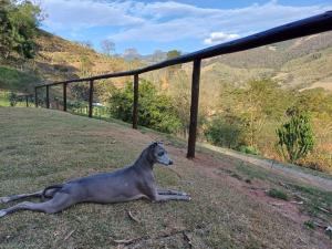 Fraga da Mantiqueira