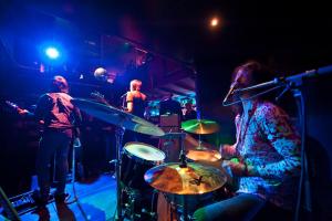 Hotel Albani Bar of Music