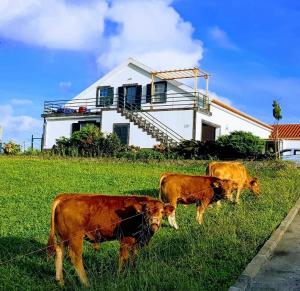 Quinta do Calvário - 4hvězdičkové hotely ve městě Lajes das Flores
