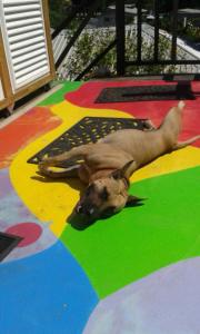 wKd bEach loFts THuNDER bAy Colourful