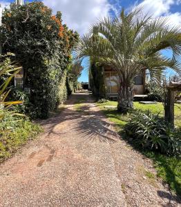 Cabañas Bien al Este