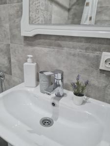 Апартаменти в центрі