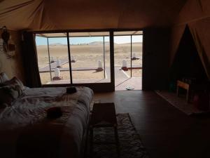 Merzouga palm camp