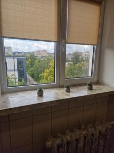 Apartament on Veteraniv, 19