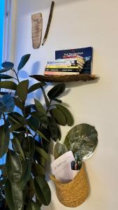 Casa Symphony- Hill View Spacious Studio in Baner-Pashan