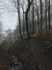 Hotel Villa Schwanebeck