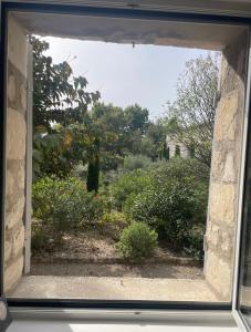 Lappart Thé - Charme apaisant au coeur des Alpilles