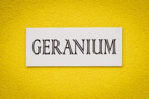 LES GRANGES DE JADIS ALSACE Bis